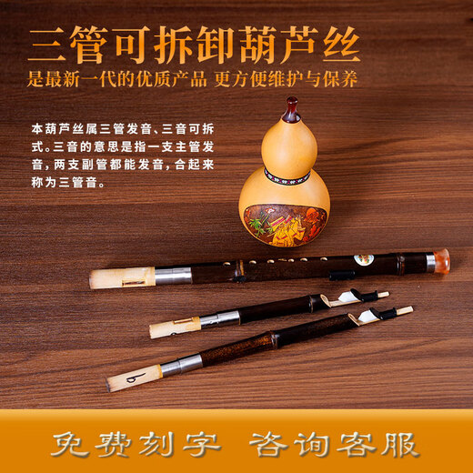 Jingua Brand Blue Classic Classic Drei-Tone Tube Hulusi School Special Good Blowing Hulusi C-Melodie, B-Flat-Melodie