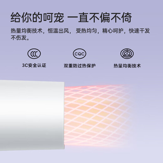【飞丶科】电吹风机便携家用宿舍学生大功率吹风筒速干可折叠送女友 【1800W速干】负离子FH62 飞科【2000W大功率】FH6231配集风嘴