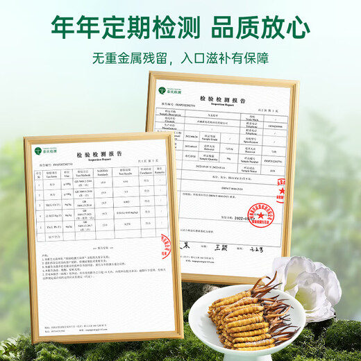 Purple and blue flowers sea [first 25 years] Fresh Cordyceps sinensis 0.6g/root 20 fresh Cordyceps sinensis straight from the source