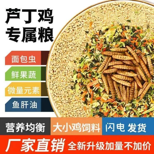 Special feed for rutin chicken, rutin chicken egg production feed, mealworm brooding feed, quail feed, high protein 3Jin Jin is equal to 0.5 kg, egg production food containing mealworms, dried vegetables