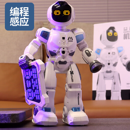 Andere intelligente Fernbedienungskontrolle Roboter Kinderspielzeug -Jungen können interaktive Programmierungstechnologie Tanzen und singen.