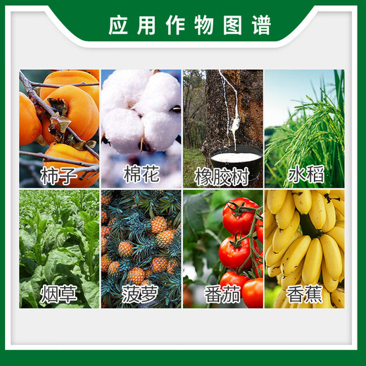 Guoguang ethephon ripening agent banana tomato persimmon rice cotton tobacco rubber tree growth regulator 100g