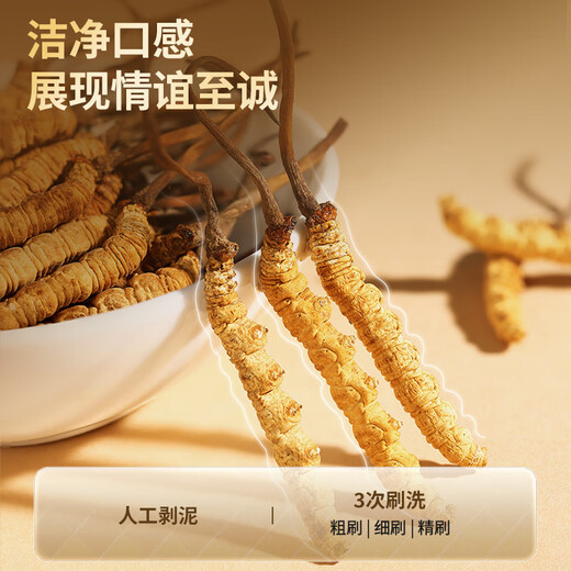 同仁堂品牌北京同仁堂 冬虫夏草虫草礼盒高端营养滋补送礼品长辈老人 1盒 20g 【共享滋补】约5根/克 约100根