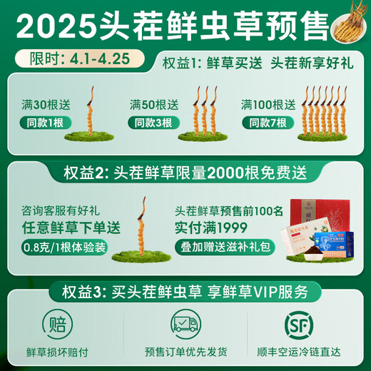 紫蓝花海新鲜冬虫夏草头茬鲜虫草自用送礼佳品礼盒装 1.1-1.2克/根 100根