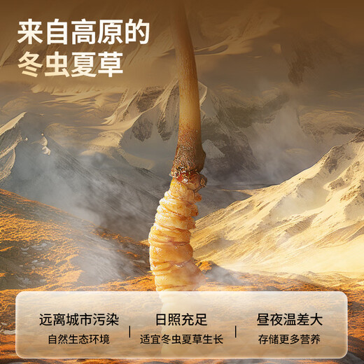 同仁堂品牌北京同仁堂 冬虫夏草虫草礼盒高端营养滋补送礼品长辈老人 1盒 20g 【共享滋补】约5根/克 约100根