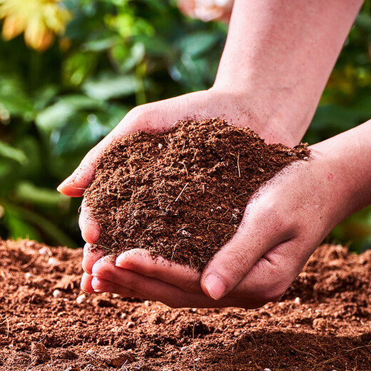 Manlife 16L Bird of Paradise nutritional soil for growing flowers and vegetables, special soil for growing peat soil, organic soil for planting soil, coconut bran green plants