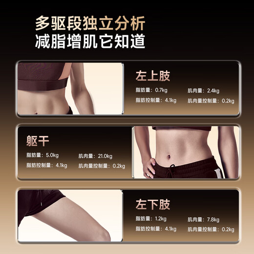 DORD德国品牌智能体脂秤八电极体重秤家用称重秤人体体脂秤减肥专用精准体重体脂一体秤心率检测 八电极尊享版-星际黑