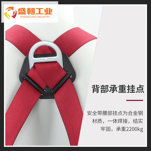 GOLM Full-body Full Point Safety Seconte Capeur à haute altitude Opération à haute altitude National Standard Safety Corde Construction Construction de sécurité anti-automne GM3523-Singel Grand crochet 3 mètres Full-corps à cinq points