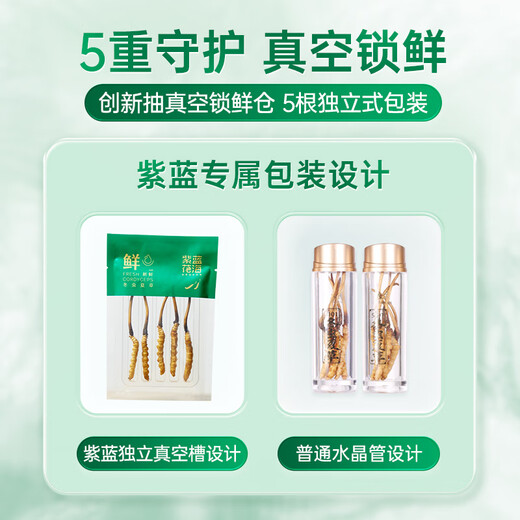 紫蓝花海新鲜冬虫夏草头茬鲜虫草自用送礼佳品礼盒装 1.1-1.2克/根 100根