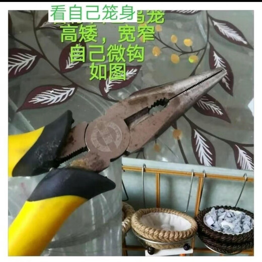 Runhuanian bird's nest single nest breeding bird's nest wax beak snow dove jade bird hibiscus bird gold green gray swallow bird gold wire inside 10 hemp nest + nest frame