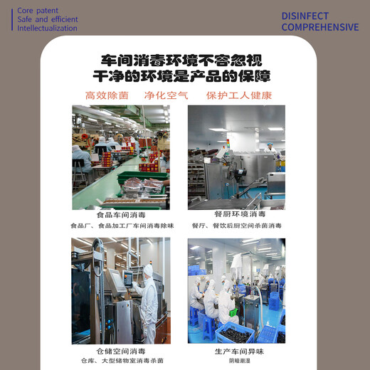 Fenrui 120g ozone generator ozone sterilizer food factory workshop school disinfection sterilization farm ammonia removal 20g super power type (304 material)
