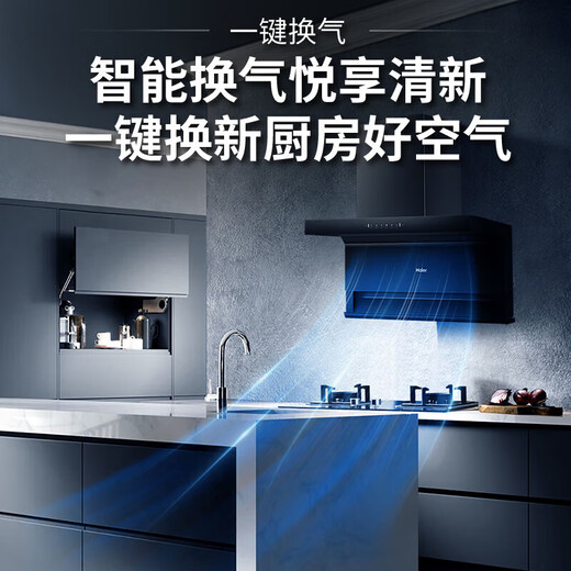 海尔（Haier）抽油烟机家用烟灶套装25立方大吸力厨房油烟机燃气灶 顶侧双吸一键换气自清洁排烟机套装EC723 【单烟机】25m³大吸力EC723
