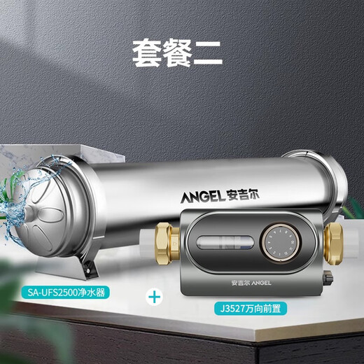 ANGEL安吉尔全屋净水器总水管道前置过滤大流量超滤机家用别墅商用套装 白色 小巧前置3524+2500L