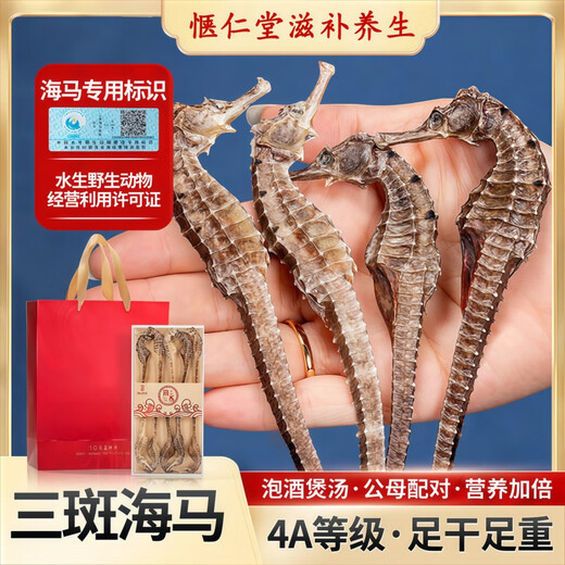 Peking Tongrentang ausgewählte authentische Seepferdchen-Trockenwaren, ein Paar Wein mit Wein ausgewählt, Suppenzutaten, Seepferdchen-Trockenwaren, frisch getrocknet, um Nicht-Kidney-Nahrungsergänzungsmittel zu nähren, zehn Packungen [natürlicher luftgetrockneter Seahorse) Qualität (männliche und weibliche Kombination Ernährung Doppel)