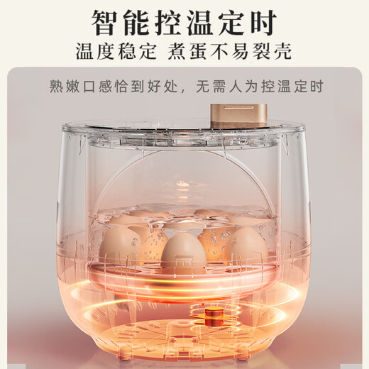 小熊（Bear）煮蛋器 蒸蛋器 智能定时 自动断电 小型不锈钢 防干烧 蒸煮鸡蛋一体机神器ZDQ-B06R2