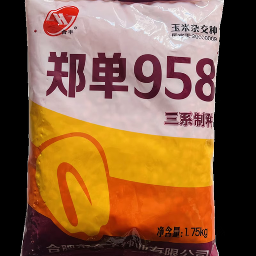 Zhengdan 958 national-approved corn variety corn seed high-yielding big stick corn seed Ludan 981 corn seed National-approved Zhengdan 958 corn seed original 1 Jin Jin equals 0.5 kg 1 bag
