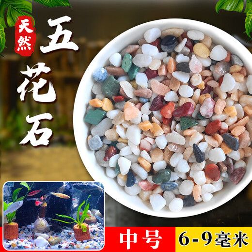 Runhua Nian Pure Rain Flower Stone Potted Succulent Pavement Stone Small Multicolored Stone Fish Tank Pavement Ornamental Stone Colorful Small Stone Multicolored Stone 6-9mm 5.2Jin Jin equals 0.5kg (hot)