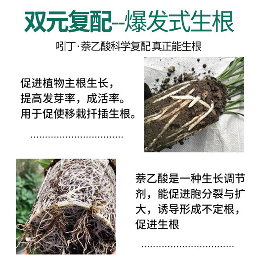 Guoguang Genpan 5% indolinacetic acid tree bonsai flower seedling cutting rooting liquid universal pesticide growth regulator