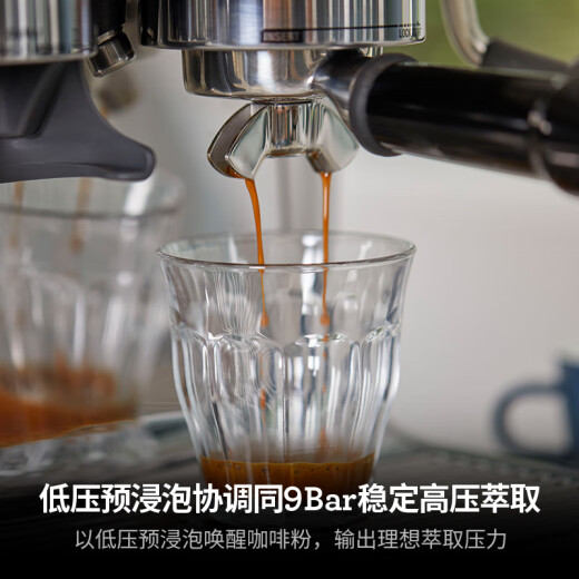 Breville Bes878 Máquina de café semiautomático, hogar italiano, rectificado preciso, contenedor de frijoles desmontable, control de temperatura inteligente, espuma de leche de molienda integrada, plata forjada