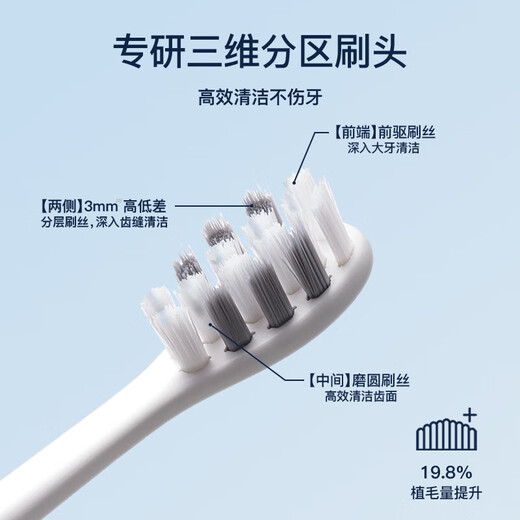 舒客+ 电动牙刷 成人/学生送男友/女友软毛护龈声波5档 情侣 T3-挪威蓝