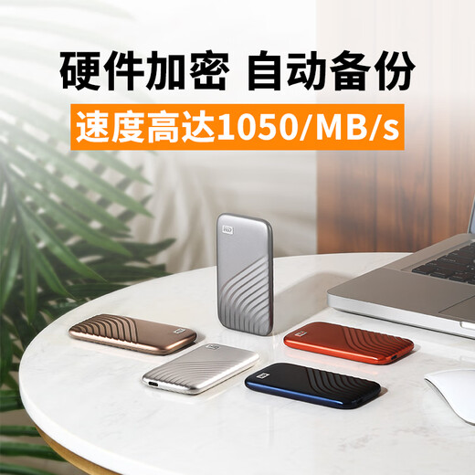 Western Digital (WD) NVME Mobile Solid State Drive (PSSD) Mein Passport-SSD-Typ-C-Schnittstelle 1050 MB/s Space Grau- (Getriebegeschwindigkeit 1050 MB/s) 2TB (offizieller Standard)