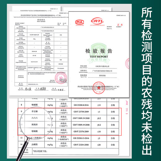 1392[有机认证]乌岽蜜兰香 凤凰单枞茶 天池茶业七彩系列全新升级100g