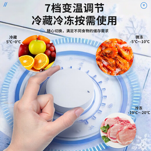 雪普瑞减霜冰柜家用一级节能冷藏冷冻冰柜商用冷柜卧式大容量全冷冻全冷藏两用柜展示柜 628双温铜管两用款1230*680*830