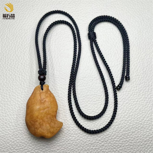 Fuwanzhe Natural Beeswax Raw Stone Pendant Baltic Sea Raw Mineral Amber Fish-shaped Sea Float Pendant 10.15g