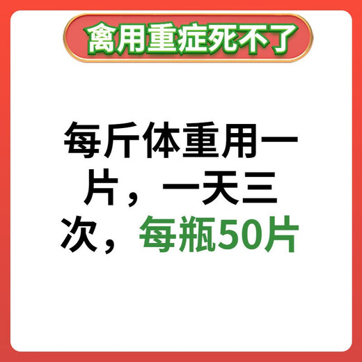 LISM poultry feed additive is used to save poultry, chickens, ducks and geese that are unable to die due to serious illness. 2 bottles of medicine are used to save chickens, ducks and geese from diarrhea, diarrhea, bloating, coughing, snoring and drooping wings. 2 bottles of this product are used to save poultry from severe illness.