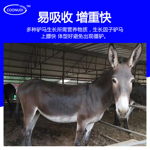 Kangdi 4% donkey premix donkey horse mule fattening feed breeding female donkey foal opening material to prevent hair loss and hair biting donkey and horse late stage (150 kg-slaughter)