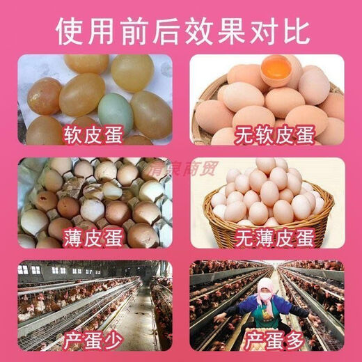 Factory direct sales of high calcium shell powder, clam shell powder to prevent soft eggs from being laid, calcium supplement to feed pigeons, chicken feed thickness, shell powder 1-2mm small particles (specialized to prevent egg pecking, calcium supplement 40Jin Jin is equal to 0.5 kg