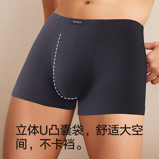 Seven Wolf Underwear Men's 7A Antibacterial Pure Cotton 100% Cotton Men's Underwear Boxer Shorts Men's 4 Packs Classic Style
