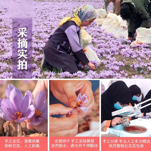 北京同仁堂藏红花泡水喝的功效作用新鲜西藏西红花非伊朗特级 [瓶装]藏红花2瓶(精选头茬)