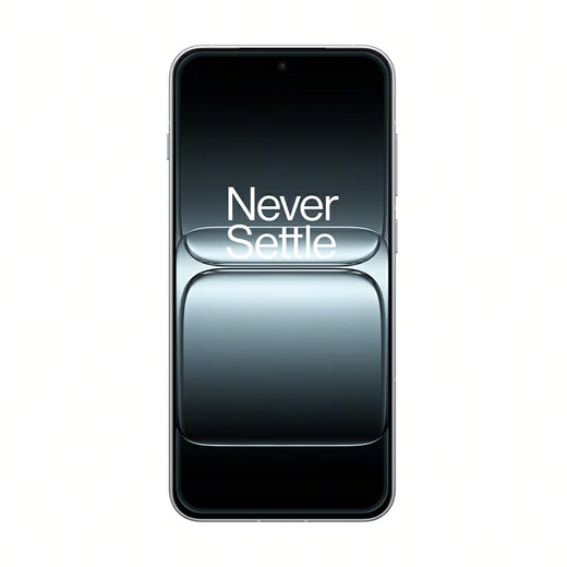 OPPO一加 13T 【国家补贴15%】新款智能手机 小屏大魔王 骁龙8至尊版 拍照游戏5G手机 晨雾灰 12GB+256GB 官方标配【全国联保】