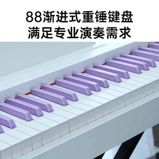 贝多辰88重锤键电钢琴幼师成人儿童电子钢琴初学入门智能十级考级用琴 初学推荐+88重力键 标配