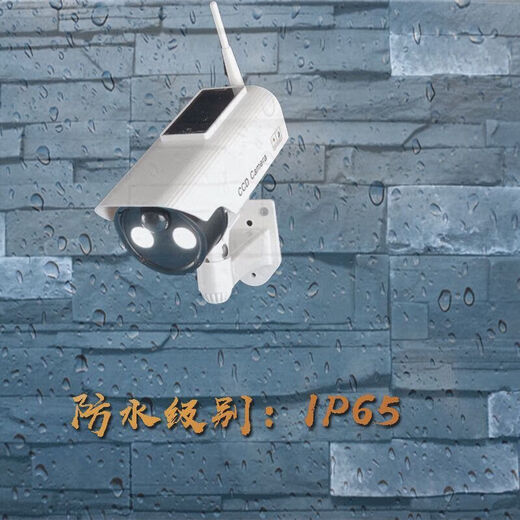 Nikon Diaohuang fake camera simulation with light solar outdoor courtyard fake monitoring light outdoor voice alarm when someone comes and the light turns on to prevent [alarm model] solar simulation monitoring light