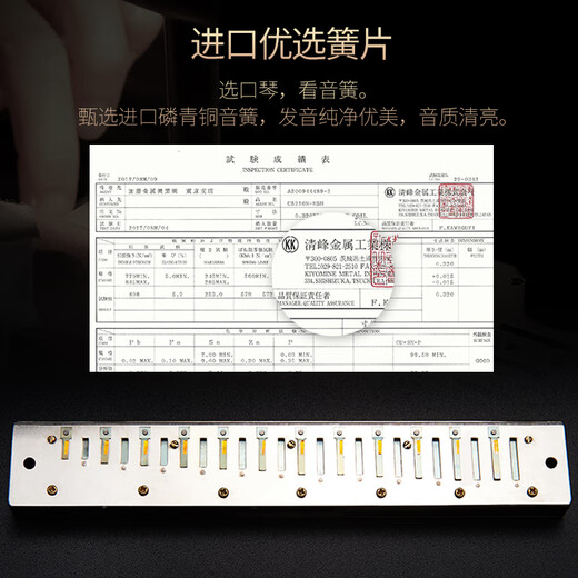 Guoguang Mundharmonica 28-Loch Polyphonische Akzent-Anfänger Kinder und Studenten erwachsene Männer und Frauen Selbststudie Einführungsleistung Level Schwarzer Stress C-Tune + Selbststudiengeschenkpaket + Video-Tutorial
