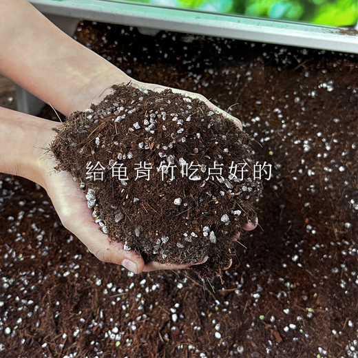 Jinyate Nährboden Monstera deliciosa Spezialboden Balkon Torf Kokosnuss Ziegelboden Dünger Bio Pflanzerde Universal 20 Liter