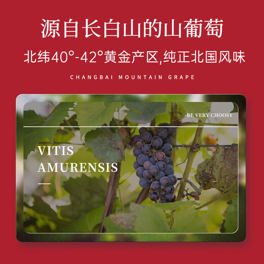 通化 1937山葡萄气泡酒7%vol起泡酒微醺 500ml*6整箱 聚会送礼新老包装交替