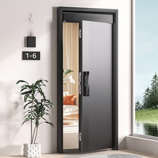 WL Wangli 4. Ebene neue Diebstahlschutztür Hauseingangstür Eingangstür Klasse A Einklemmschutz Smart Doppeltür Einzeltür A100 3.0 Freisprechserie Fingeradergesicht mit Bildschirmsperre (P60Max) Einzeltür 2150*1050&2250*950