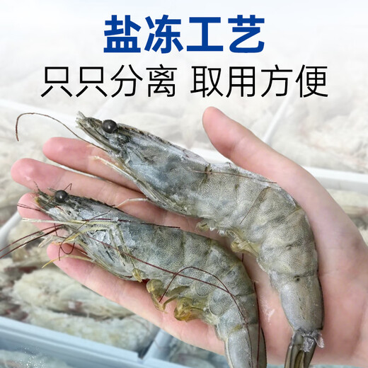 Linglue Qingdao Salted Frozen Prawns Net Weight 3Jin Jin is equal to 0.5kg 75-90 pieces Salted Frozen White Prawns Prawns Base Shrimp Fresh Shrimp