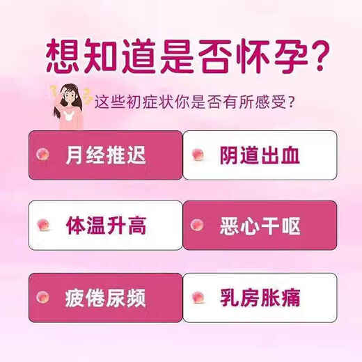 Pregnancy test stick early pregnancy test paper early pregnancy accurate test paper high-precision pregnancy test strip pregnancy test pen for women 5 copies