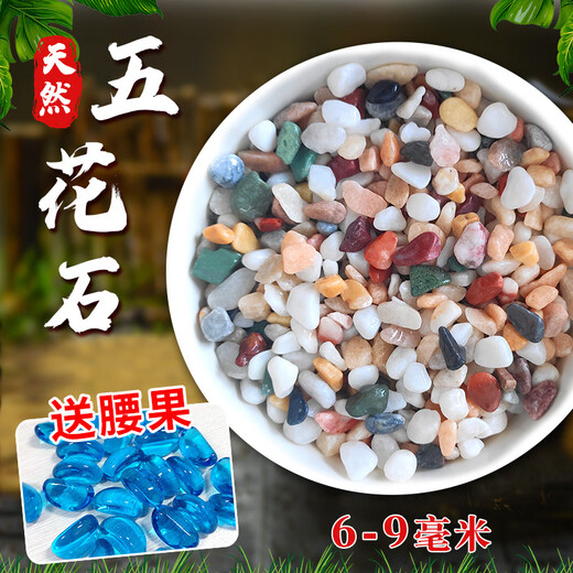 Runhua Nian Pure Rain Flower Stone Potted Succulent Pavement Stone Small Multicolored Stone Fish Tank Pavement Ornamental Stone Colorful Small Stone Multicolored Stone 6-9mm 5.2Jin Jin equals 0.5kg (hot)