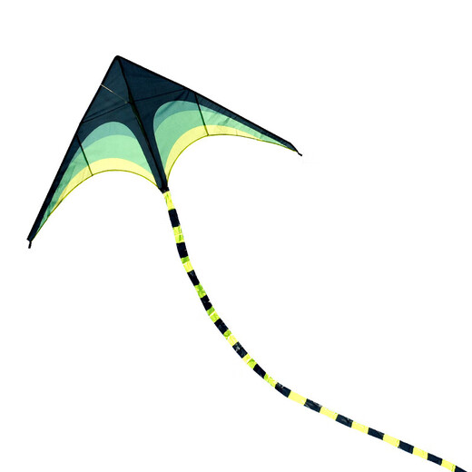 
Hanhan Paradise Kite Adult Children Weifang Large Extra Large Grassland Kite Parent-Child Outdoor Toys Children's Day Gift