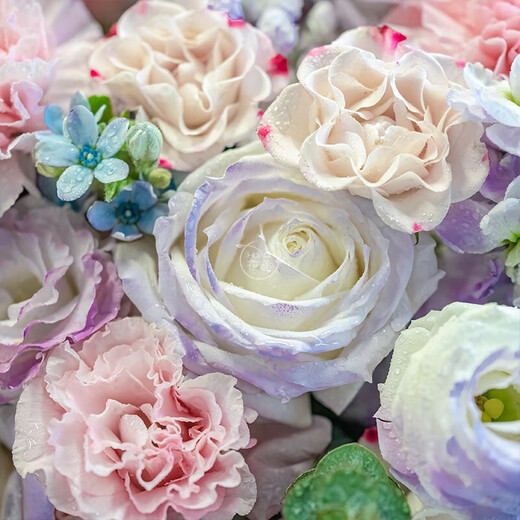 HuaDe Flower Express carnation bouquets, birthday gifts for elders and mothers, same-day delivery in the same city. Purple Dance Flying - Mist Purple Pink Kang + Baby's Breath Flower Bouquet | dyr69