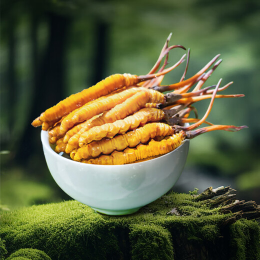 Dongyangguang Fresh Cordyceps подарочная коробка Cordyceps Высококачественный питательный подарок Cordyceps подарить подарок Cordyceps дарить пожилые родители [продукт первого класса] 0,4 ~ 0,6 г/корень 16 подарочные карты