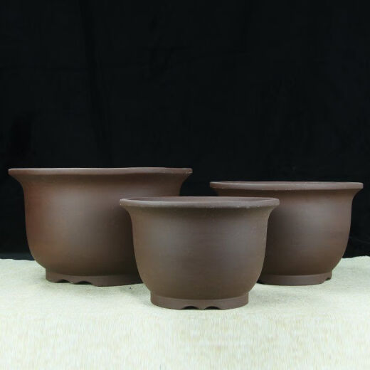 Gran diámetro Púrpura Flor de arcilla Pot de plantación verde plantación de vegetales