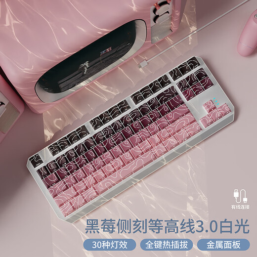 前行者 EWEADN870等高线03.0有线/三模机械侧刻蓝牙电竞办公游戏键盘 白色等高线pro3.0【87键-白光】有线+鼠标