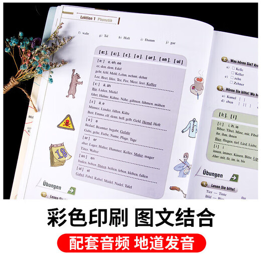 【新华正版】新求精德语语法精解与练习 修订版 德语入门自学教材 新求精德语强化教程中级2(教材+