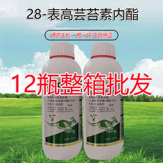 Wing Percent Whole Box Wholesale 28 Tables High Brassinolide Plant Regulates Growth, Promotes Roots, Promotes Fertilizer Efficiency Genuine Pesticide Genuine Brassinolide 1000ml Full Box 12 Bottles